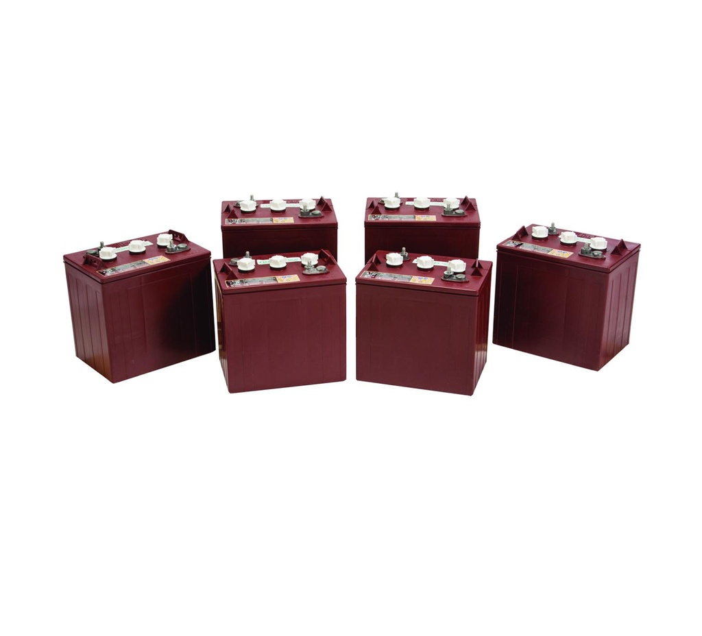 6 Volt Wet Trojan Battery Kit 222778