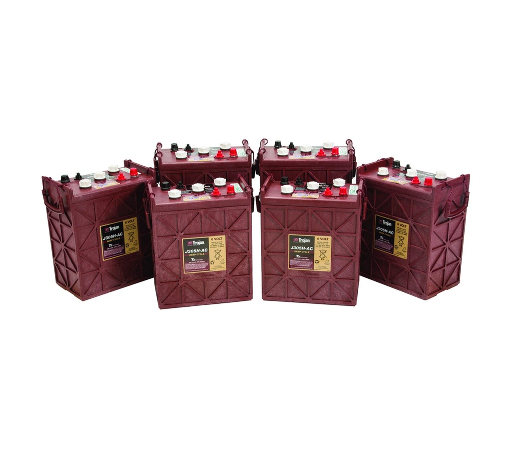 6 Volt Wet Trojan Battery Kit 222777