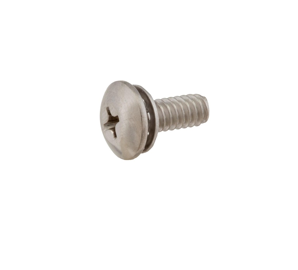 Phillips Truss Screw 605975