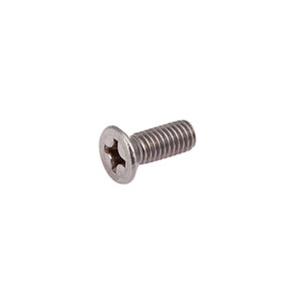 Phillips Screw 069762098