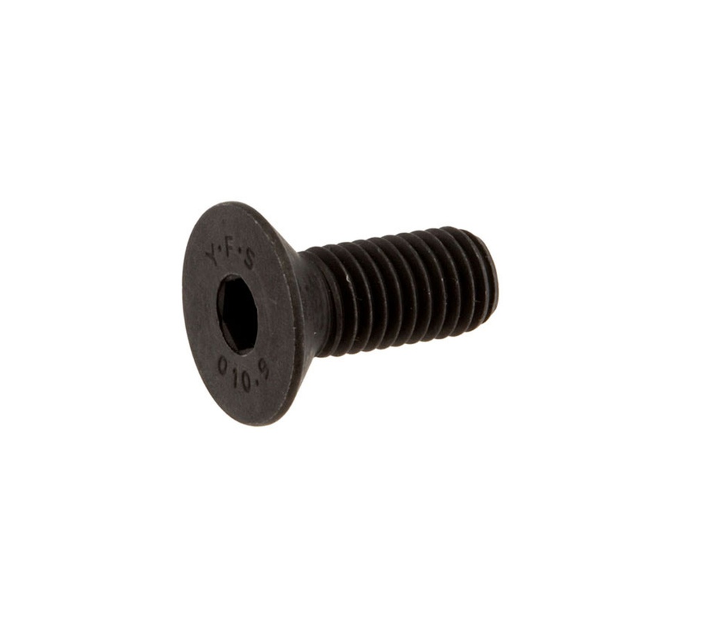Carbon Steel Screw - M10 Thread x 1 in 09081