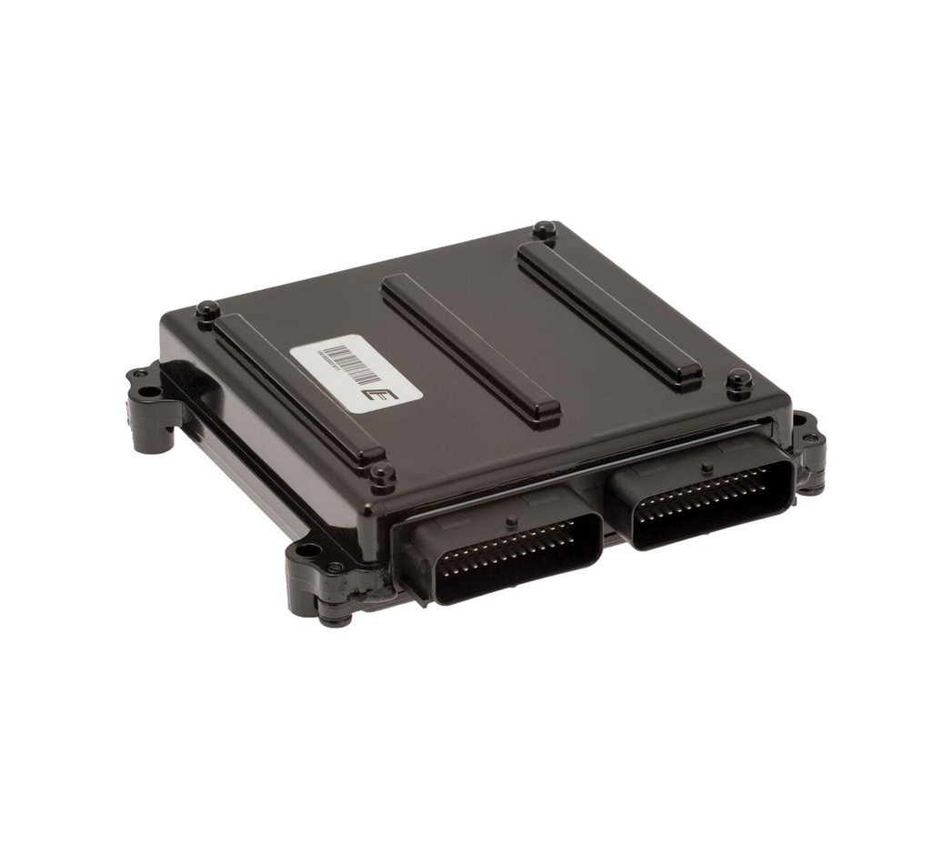 VR, MODULE, ECU, LPG [GM 3.0L] 372859