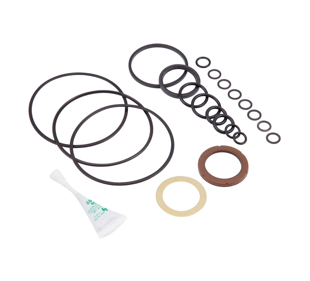 Motor Seal Kit 61490