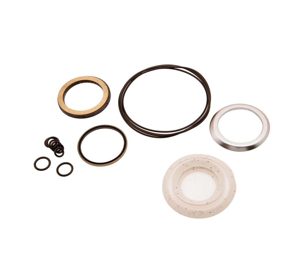 Shaft Seal Kit 79828