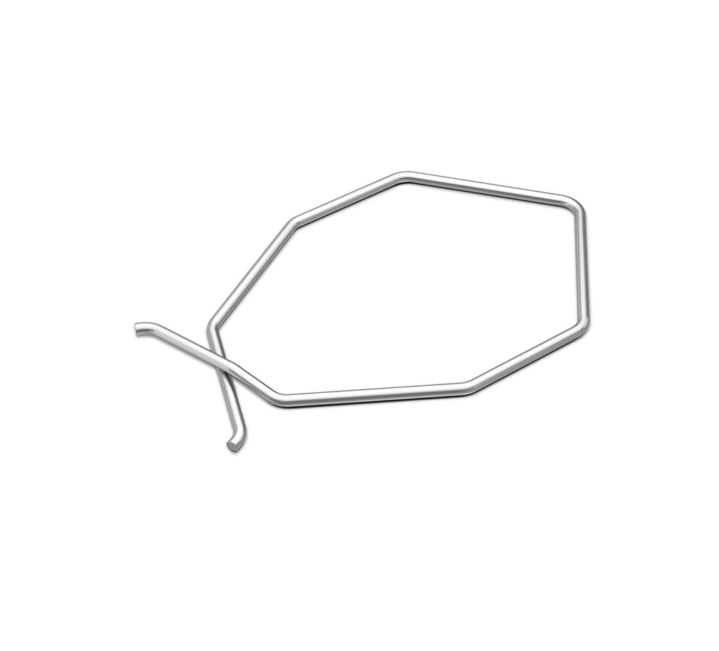 SPRING, RETAINING, BRUSH 1221438